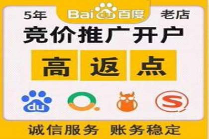 SEM竞价优化案例：品牌曝光与转化双提升